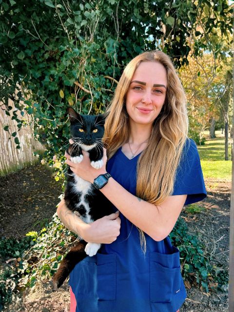 Haley- Vet Assistant at Seaford Animal Hospital