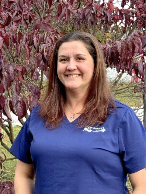 Laura - CVT at Seaford Animal Hospital