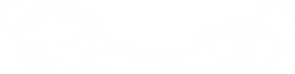 Seaford Animal Hospital
